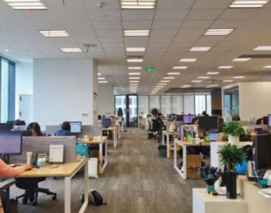 Company Profile